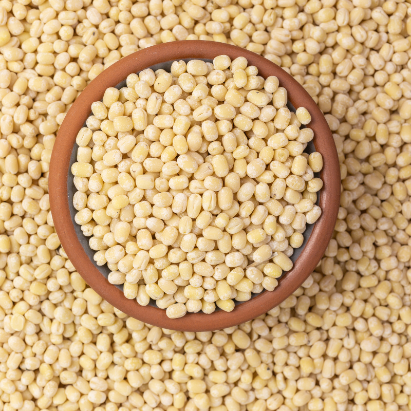 Spices-2025-04-15T182703.441